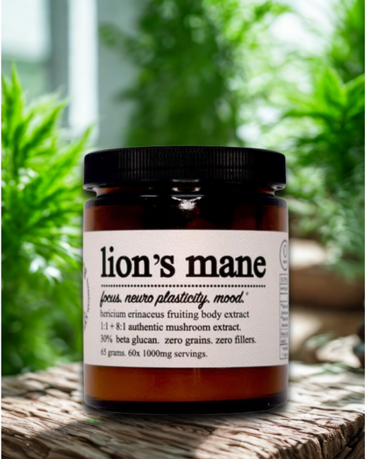 Lions Mane Jar