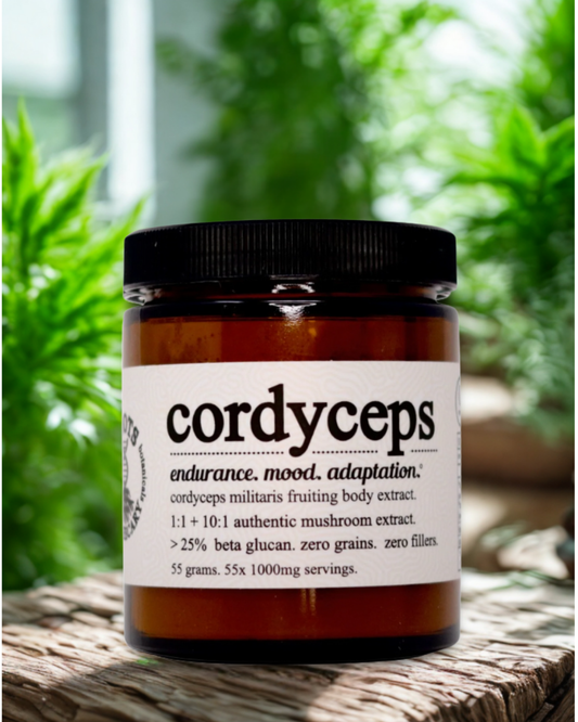 Cordyceps Jar